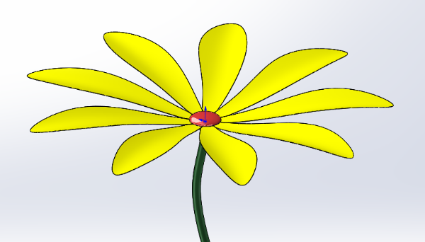 小黄花模型