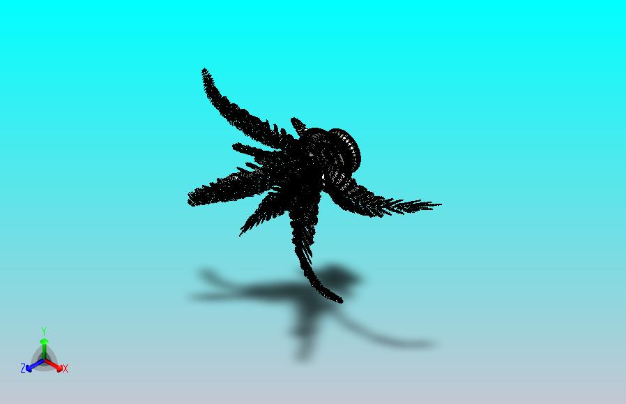 盆栽蕨类植物