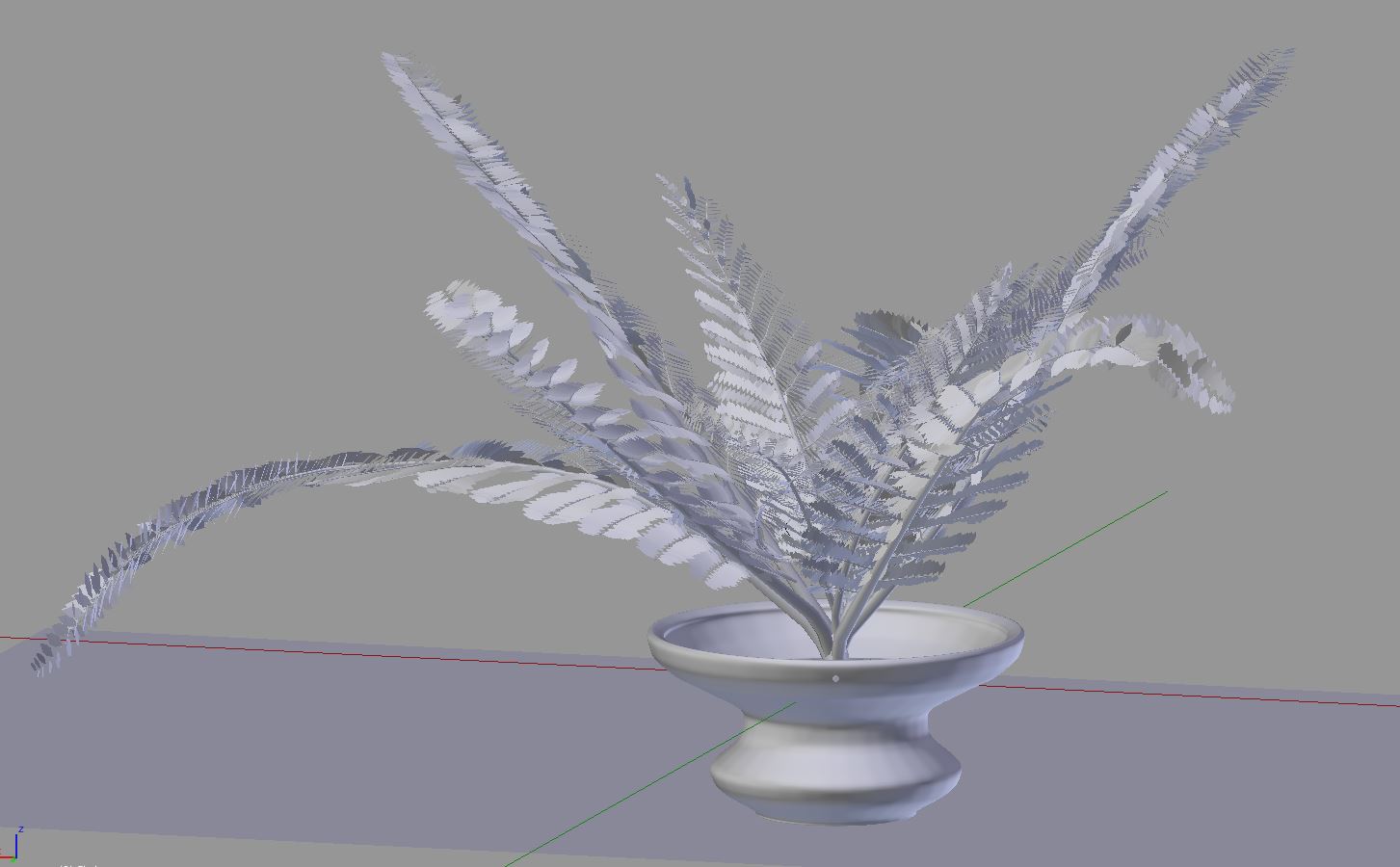 盆栽蕨类植物