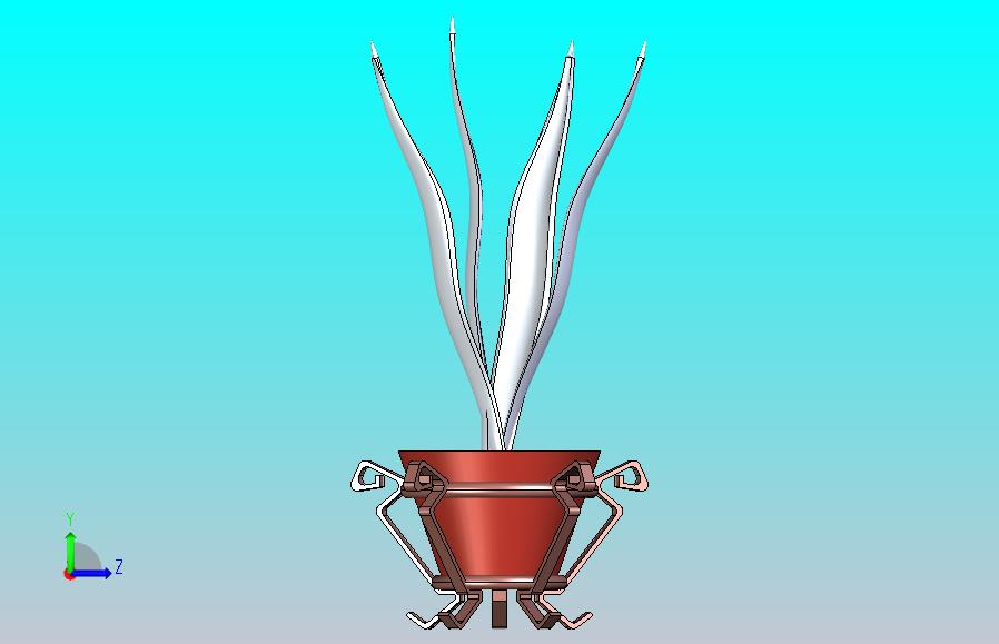 植物和花瓶