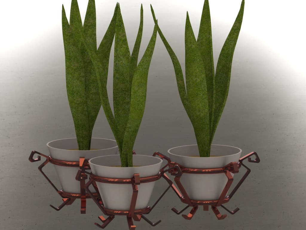 植物和花瓶