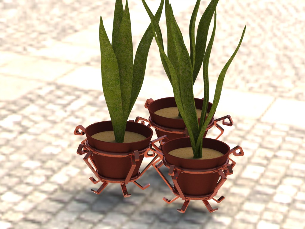 植物和花瓶