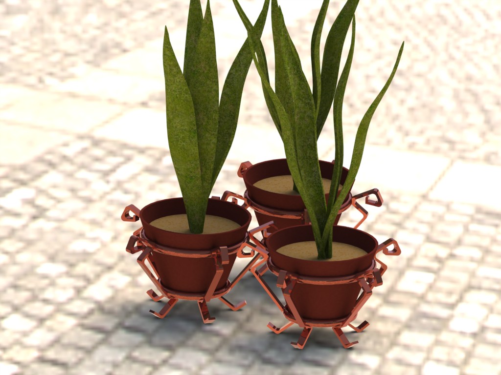 植物和花瓶
