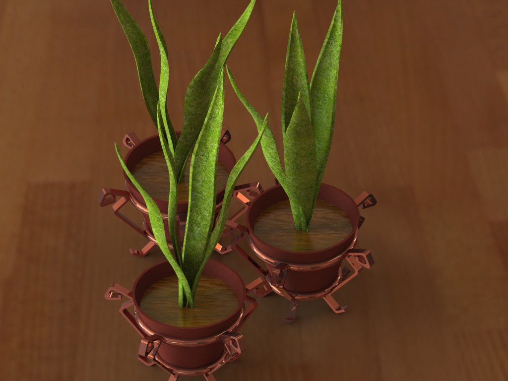 植物和花瓶