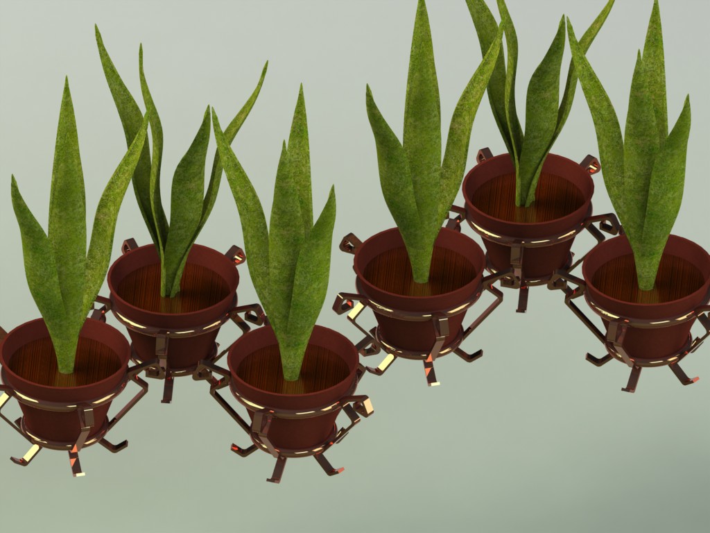 植物和花瓶