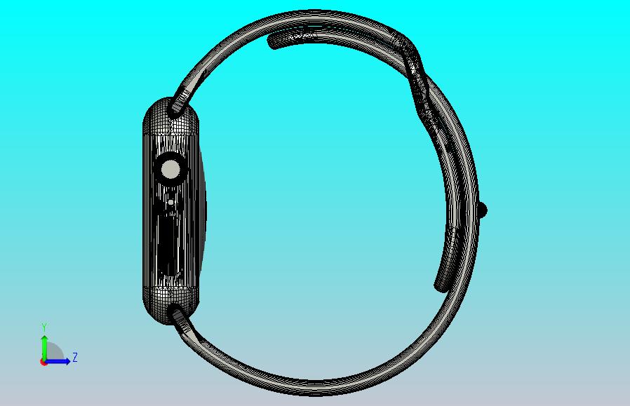 Apple smart watch