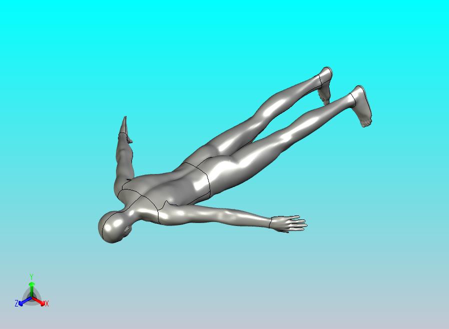 人物人体模型