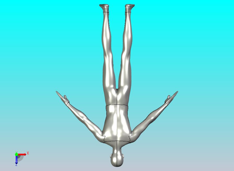 人物人体模型