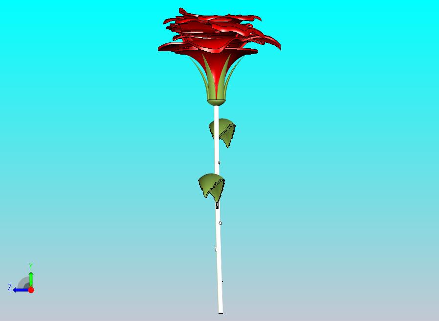 玫瑰