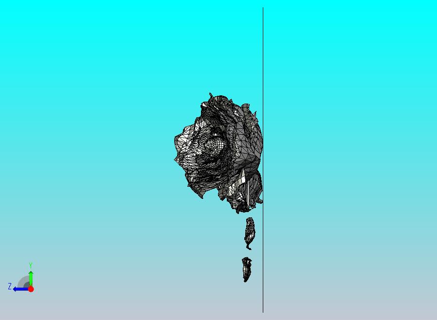玫瑰花