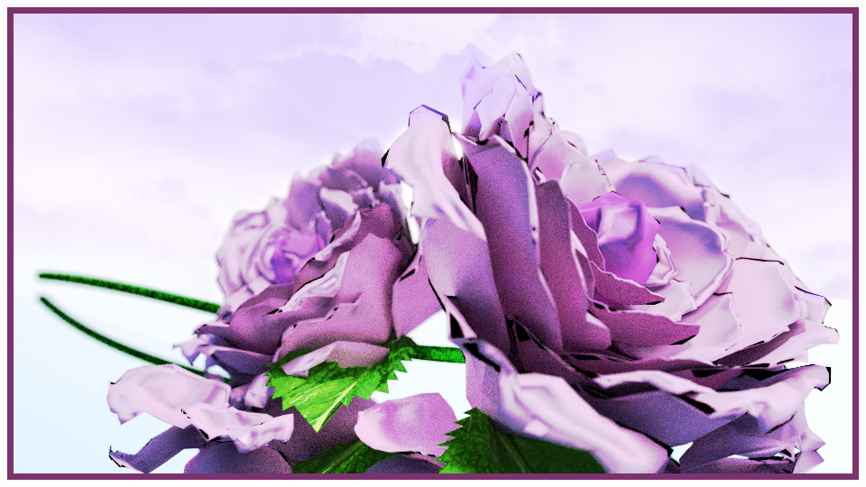 玫瑰花
