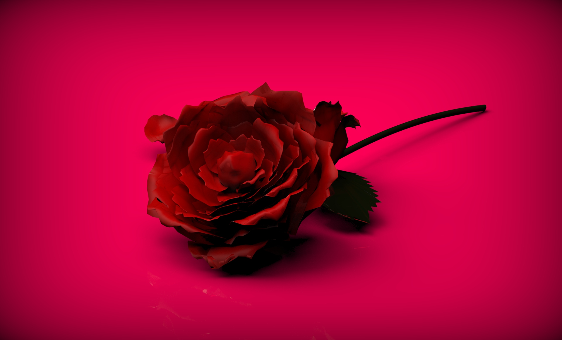 玫瑰花