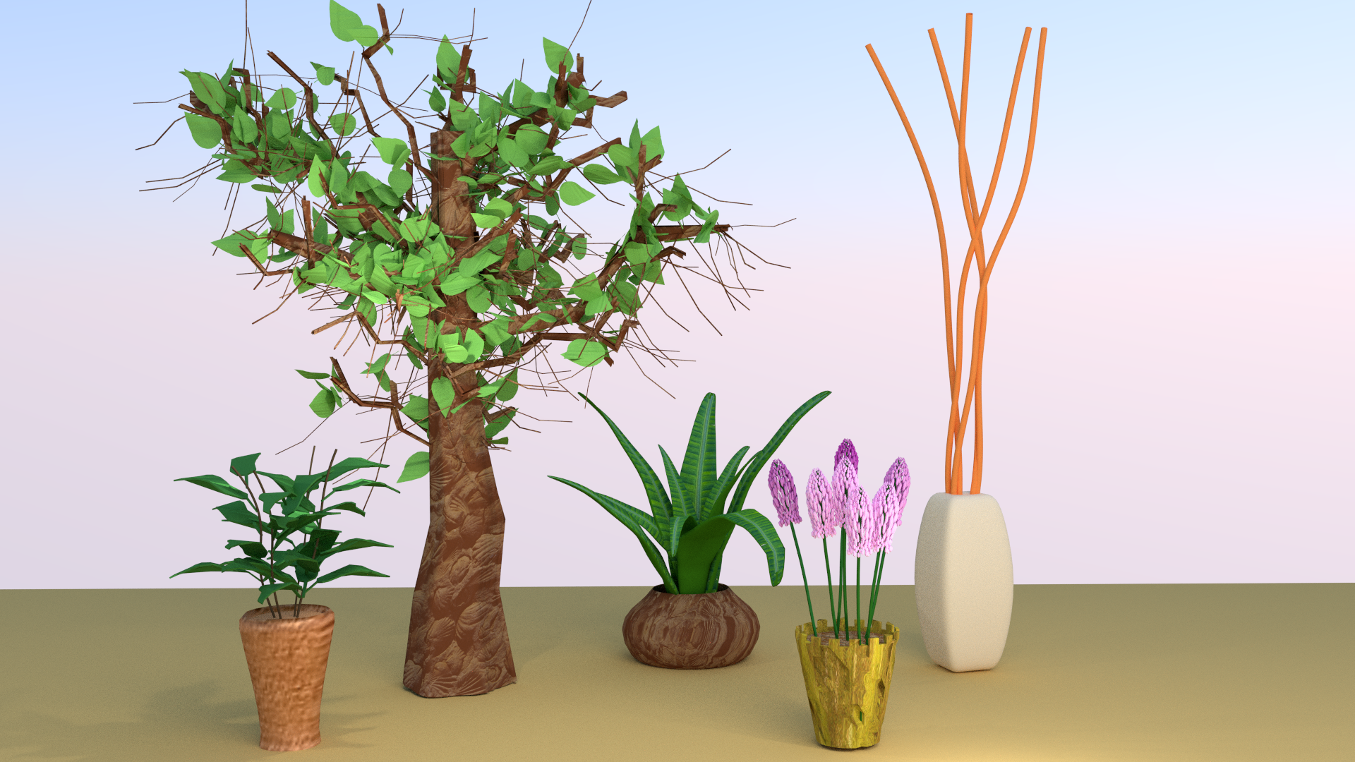 植物收藏