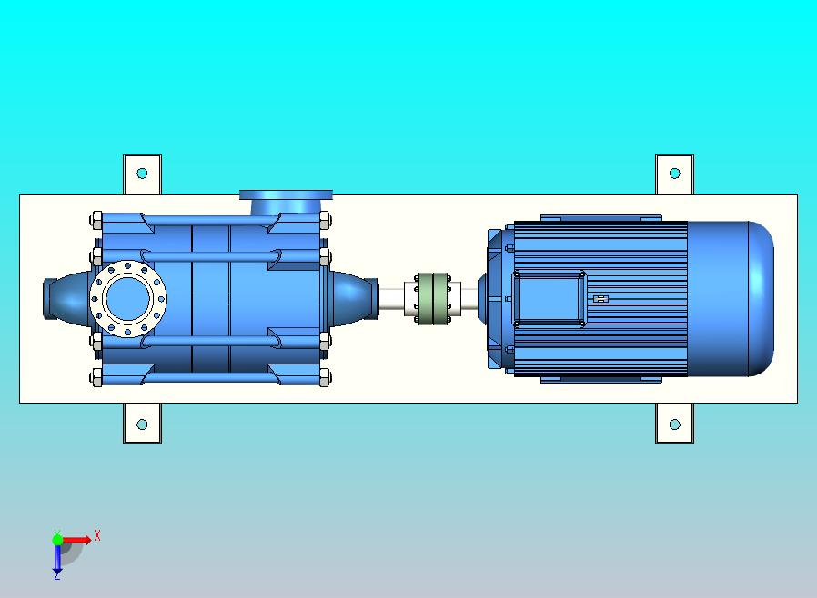 水平泵 - 电动机和柔性耦合