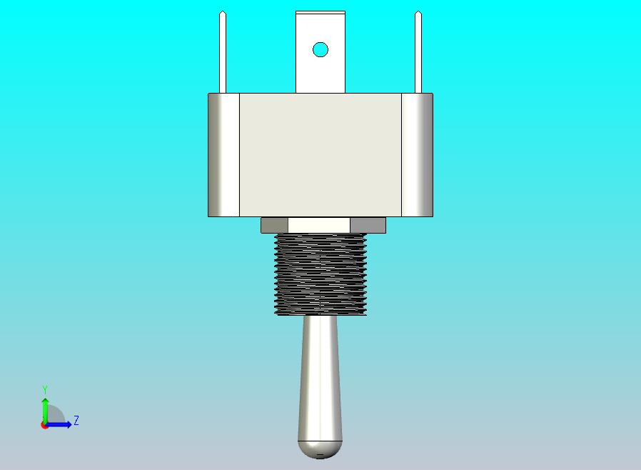 插头SW，TGL，10A（ON）-Off-（on）