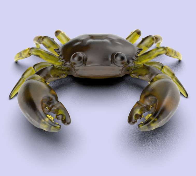 软蟹诱饵模型