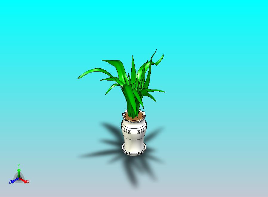 花盆绿植