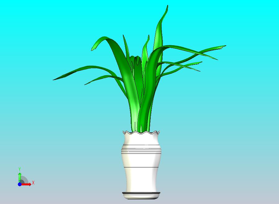 花盆绿植