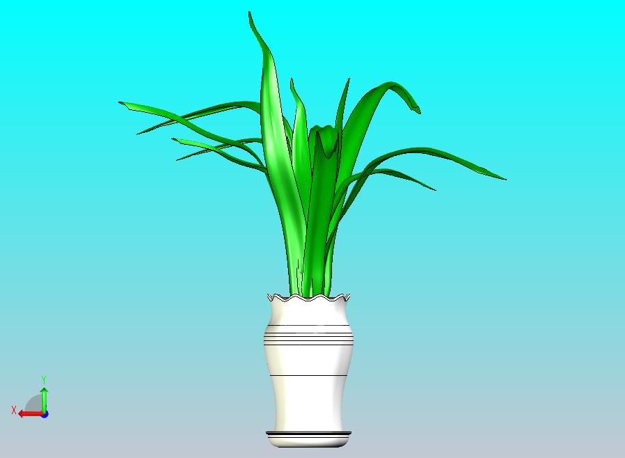 花盆绿植
