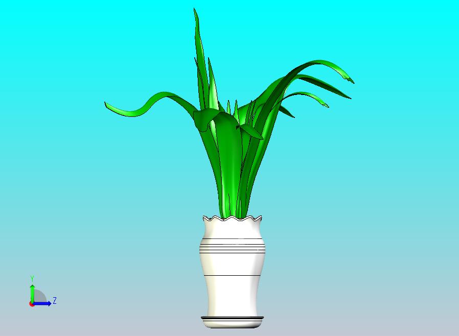 花盆绿植