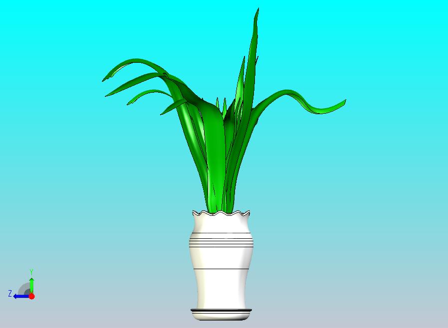 花盆绿植