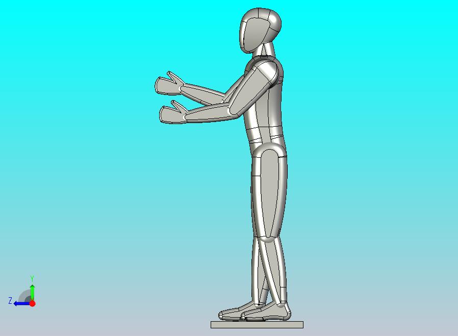 1.7m站立人体模型