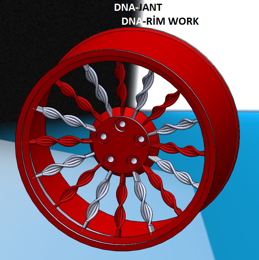 DNA 轮毂