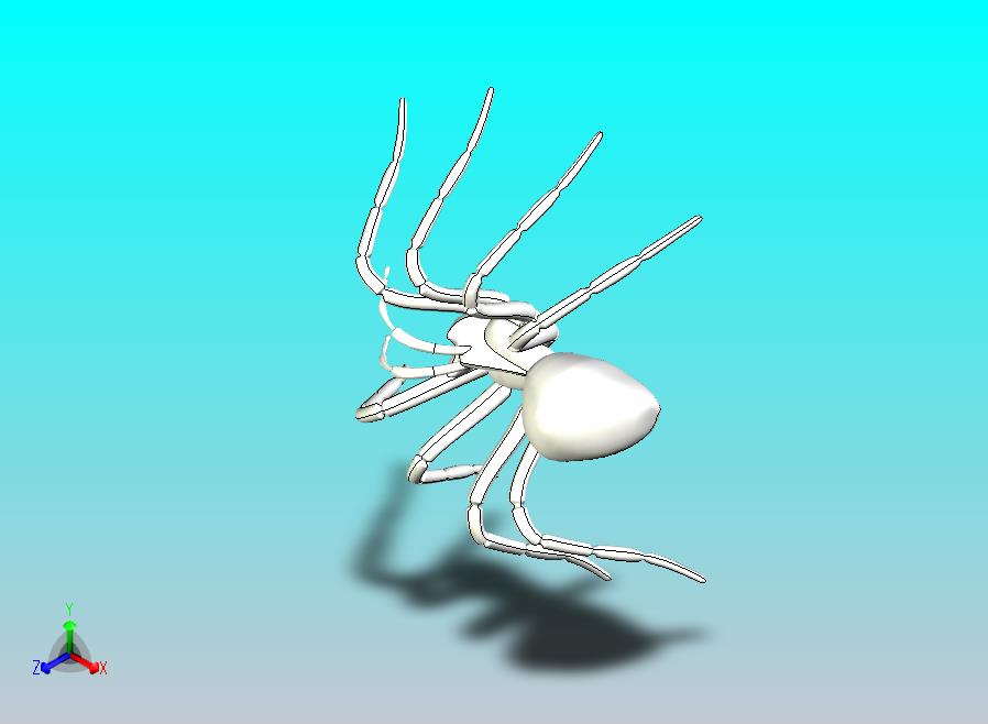 蜘蛛