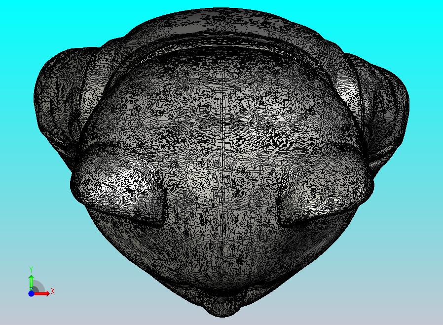 穿外套的可爱猫人工智能