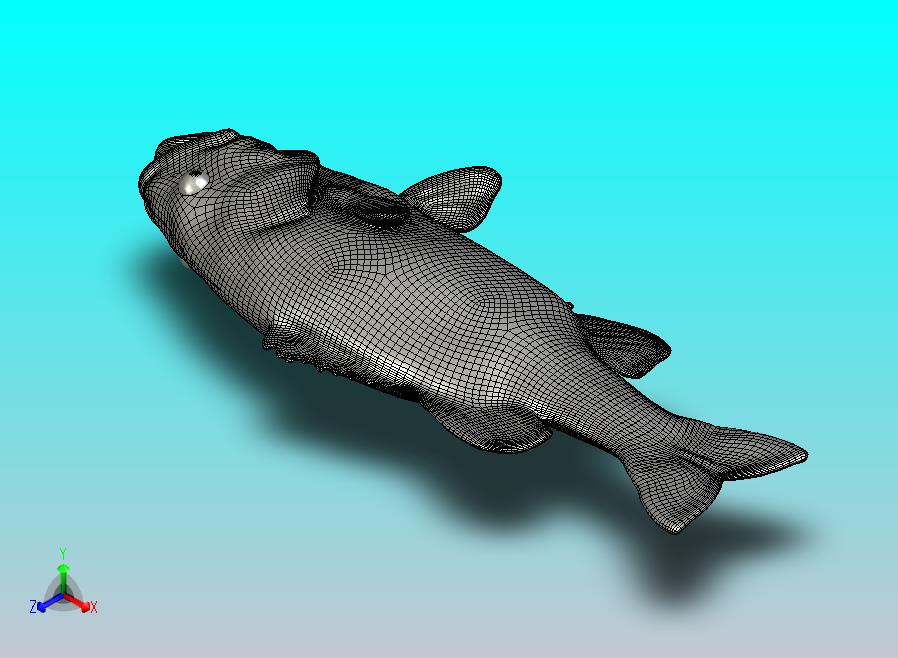 Blokx Design 鲈鱼鱼饵