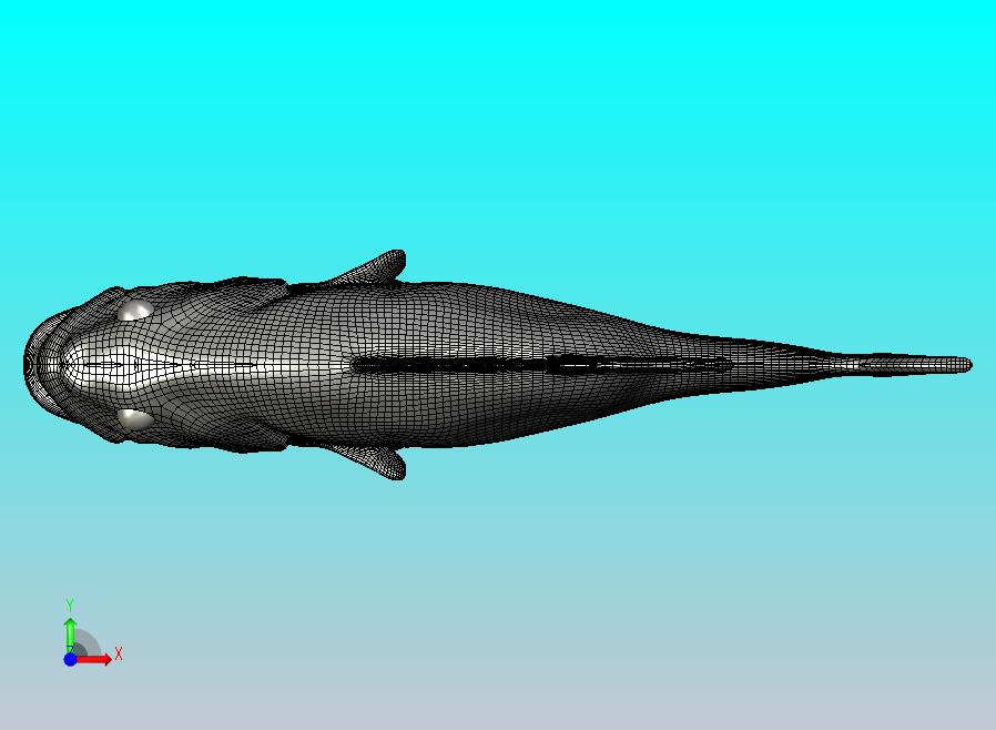 Blokx Design 鲈鱼鱼饵