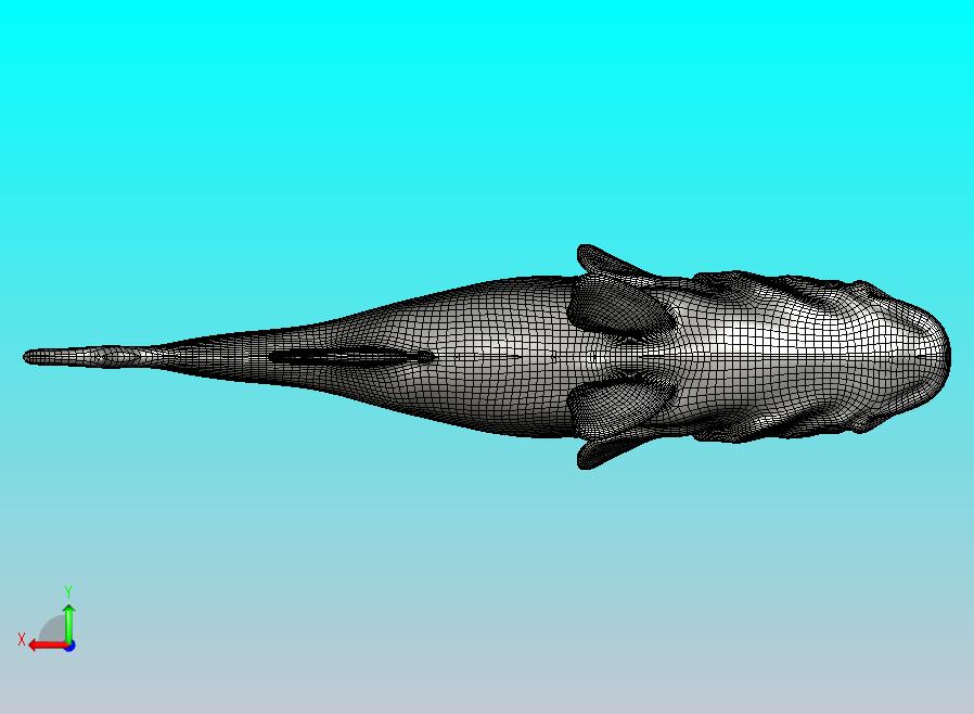 Blokx Design 鲈鱼鱼饵