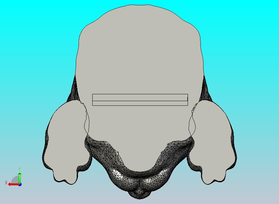 peeking_cat_with_slot