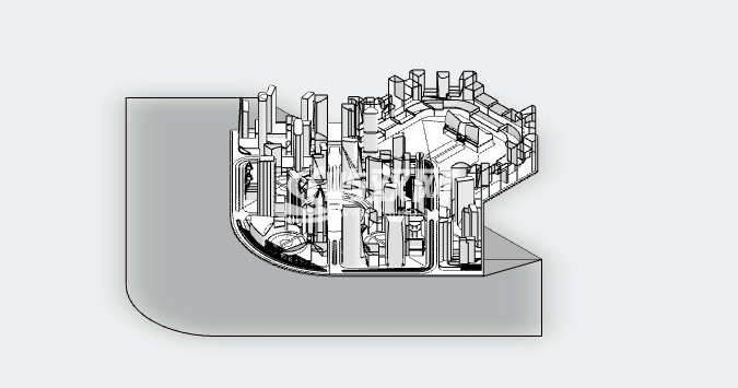 茶花城_Camellia City