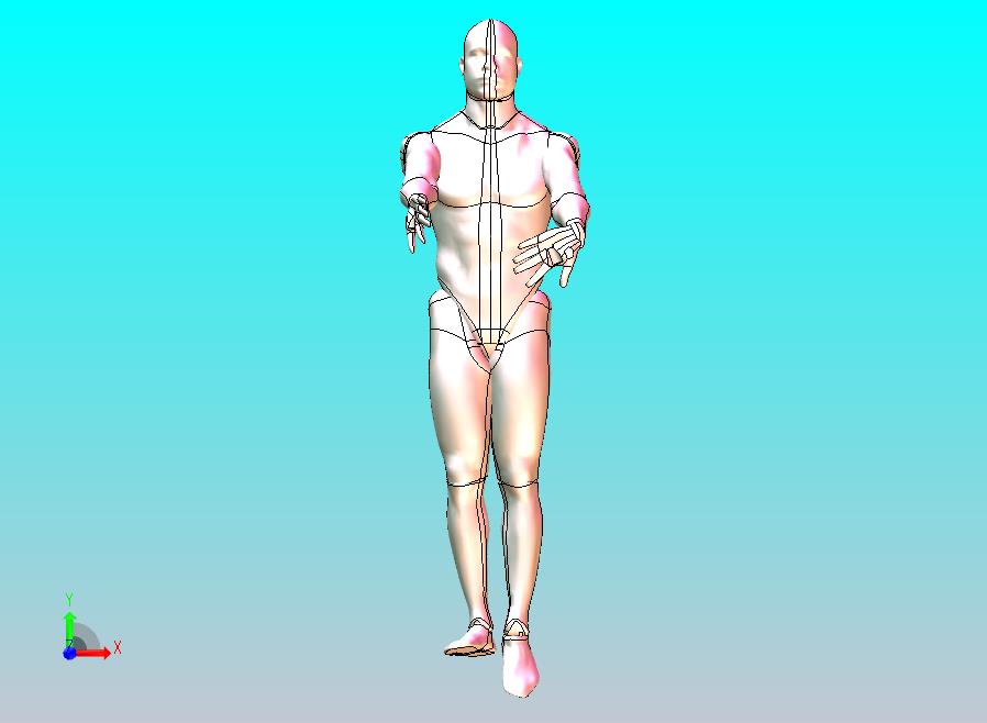 3D人体模型-可自由活动姿态自由调节