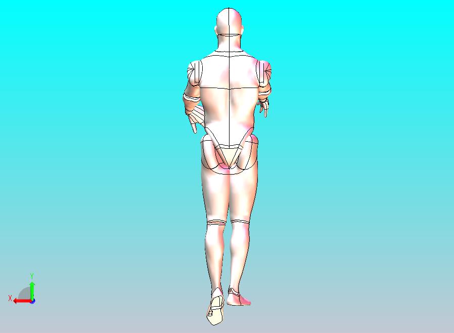 3D人体模型-可自由活动姿态自由调节