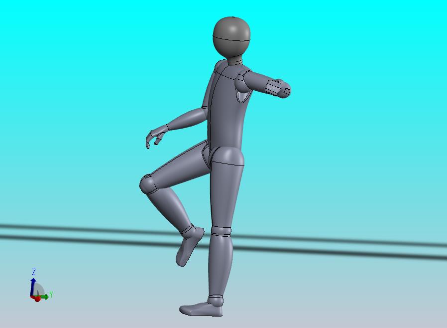 关节可动人体模型