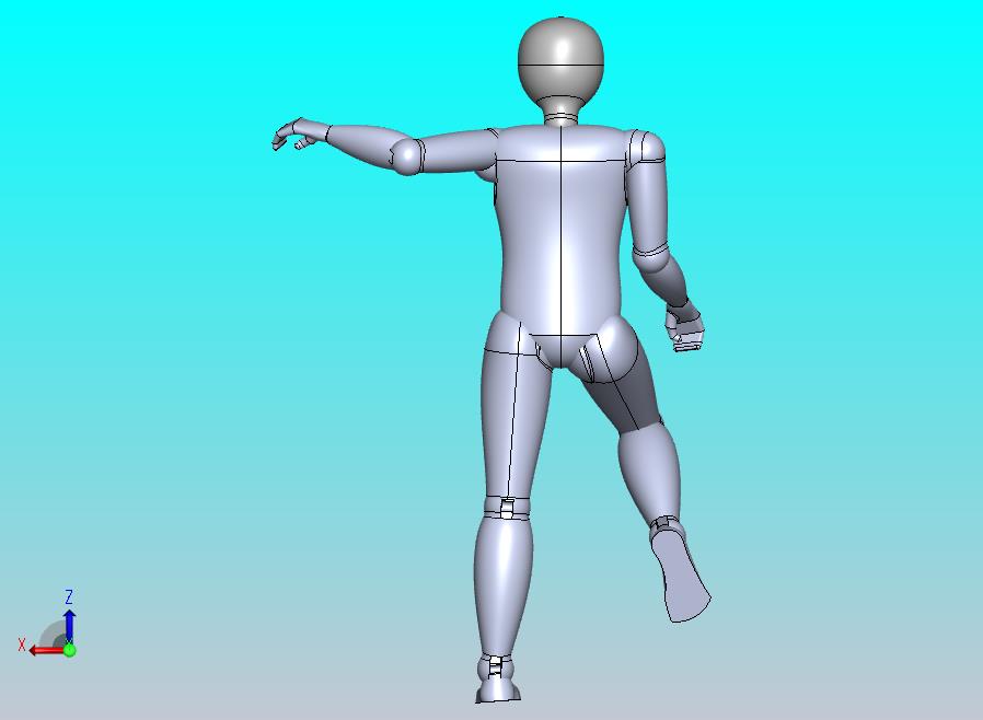 关节可动人体模型