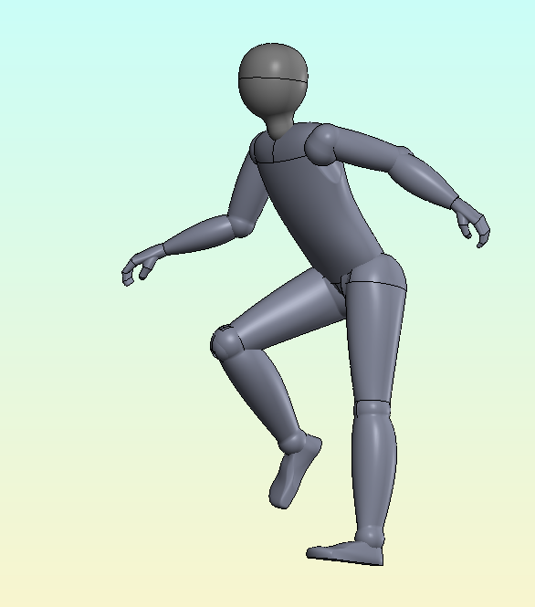 关节可动人体模型