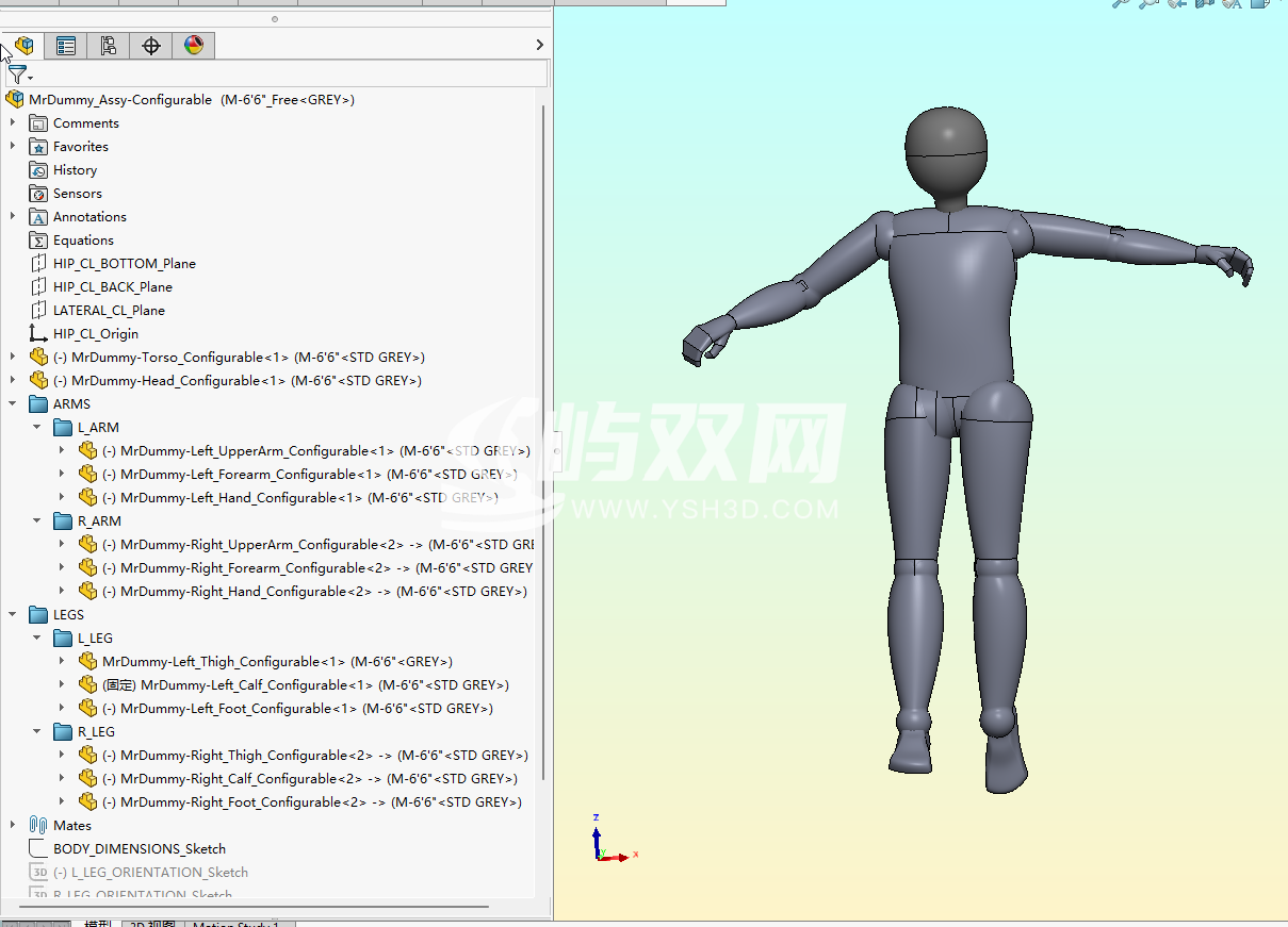 关节可动人体模型