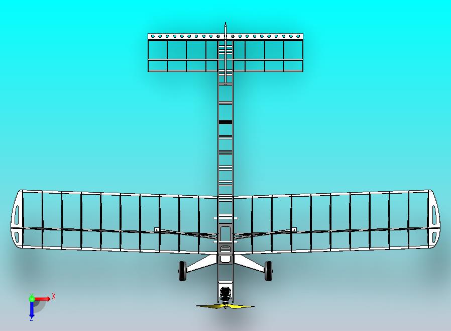 Wicherek 25遥控模型飞机