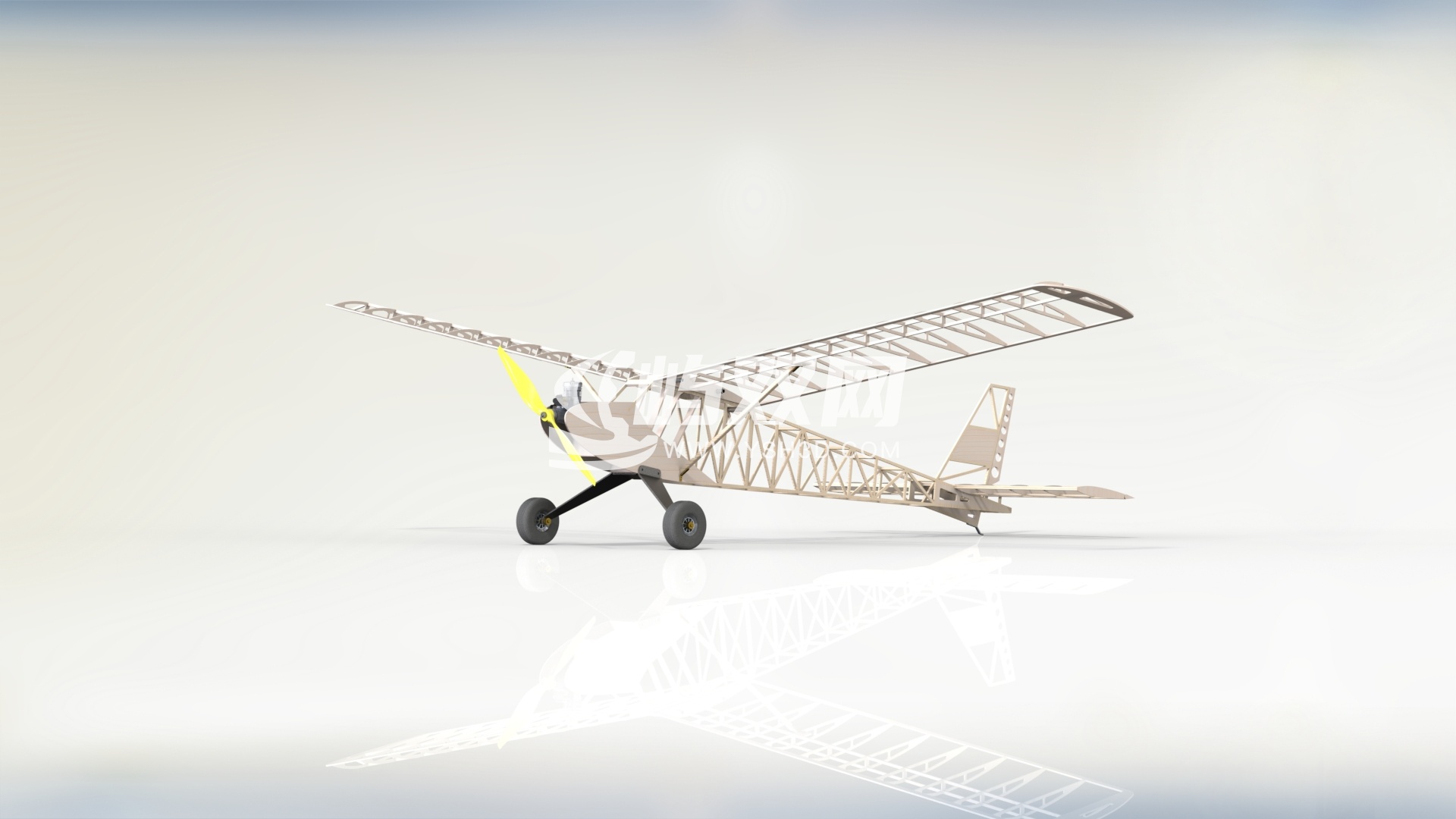 Wicherek 25遥控模型飞机