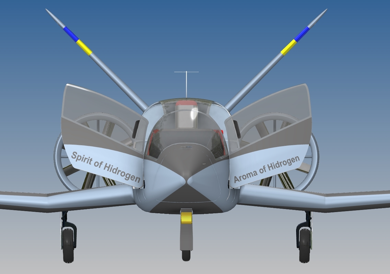 双座飞机“Lastivka”（马丁）