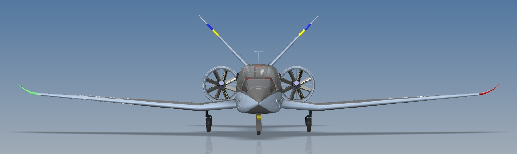 双座飞机“Lastivka”（马丁）