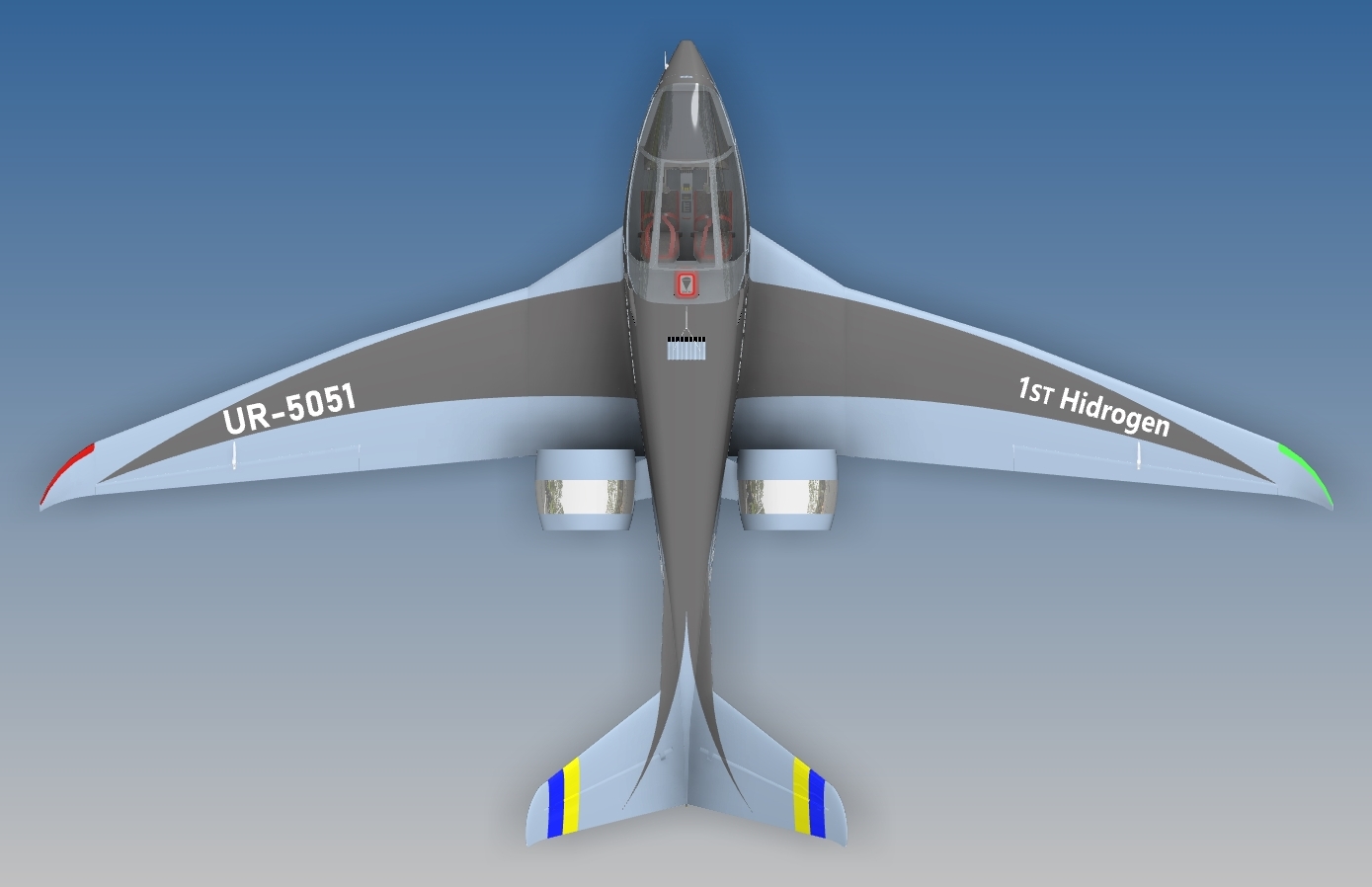 双座飞机“Lastivka”（马丁）