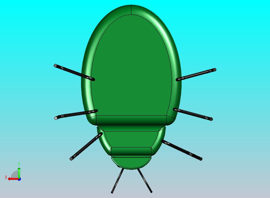 薄荷甲虫（昆虫）