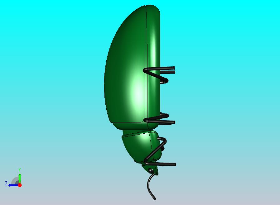 薄荷甲虫（昆虫）