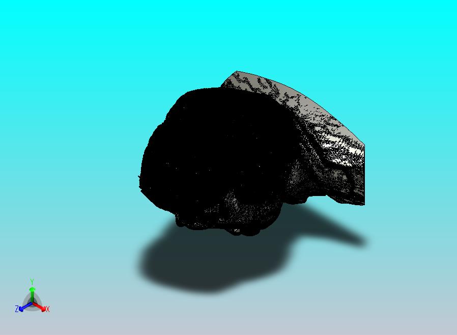 特朗普马桶刷架