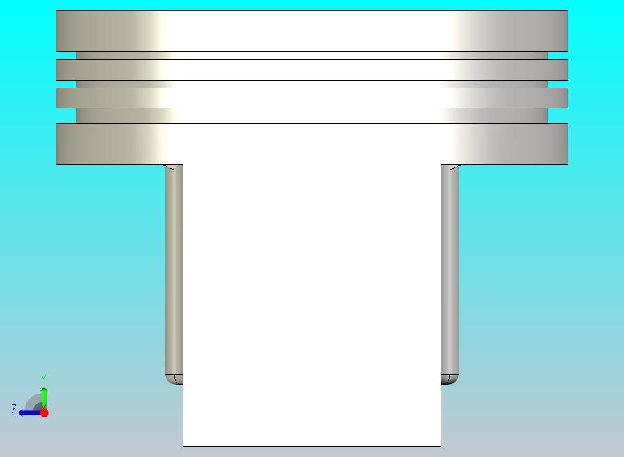 活塞-100毫米口径-1