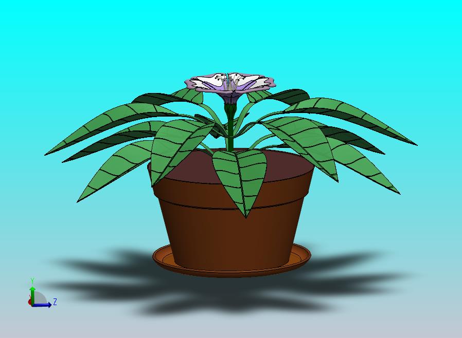 花精华开花植物